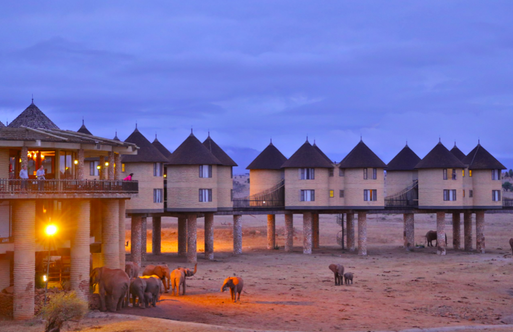 A picture of rooms perched atop the park: Sarova Salt Lick safari Lodge in Tsavo West