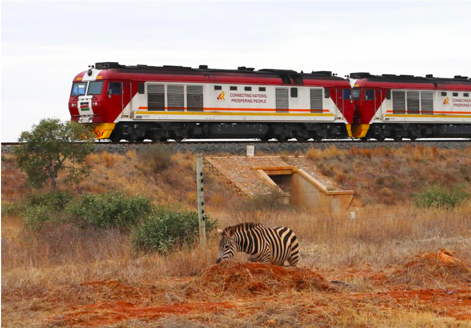 A picture of a zebra inside the park, with the train passing by nearby